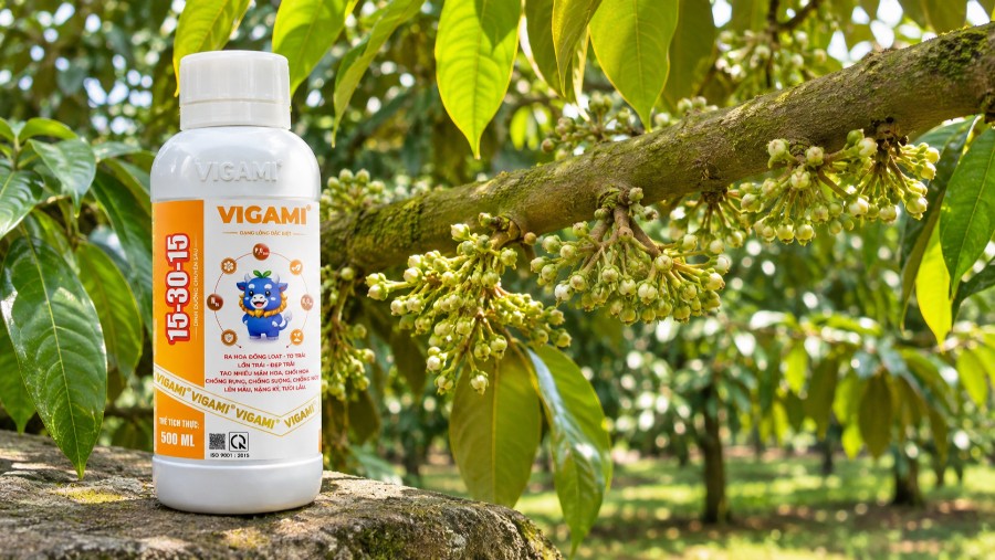 NPK 15-30-15 VIGAMI bổ sung dinh dưỡng lân cao, hỗ trợ phân hóa mầm hoa, kích thích ra hoa đồng loạt